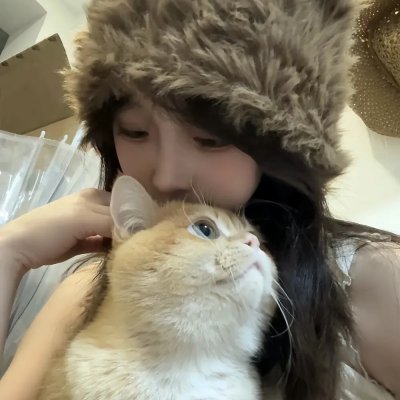 犬之力